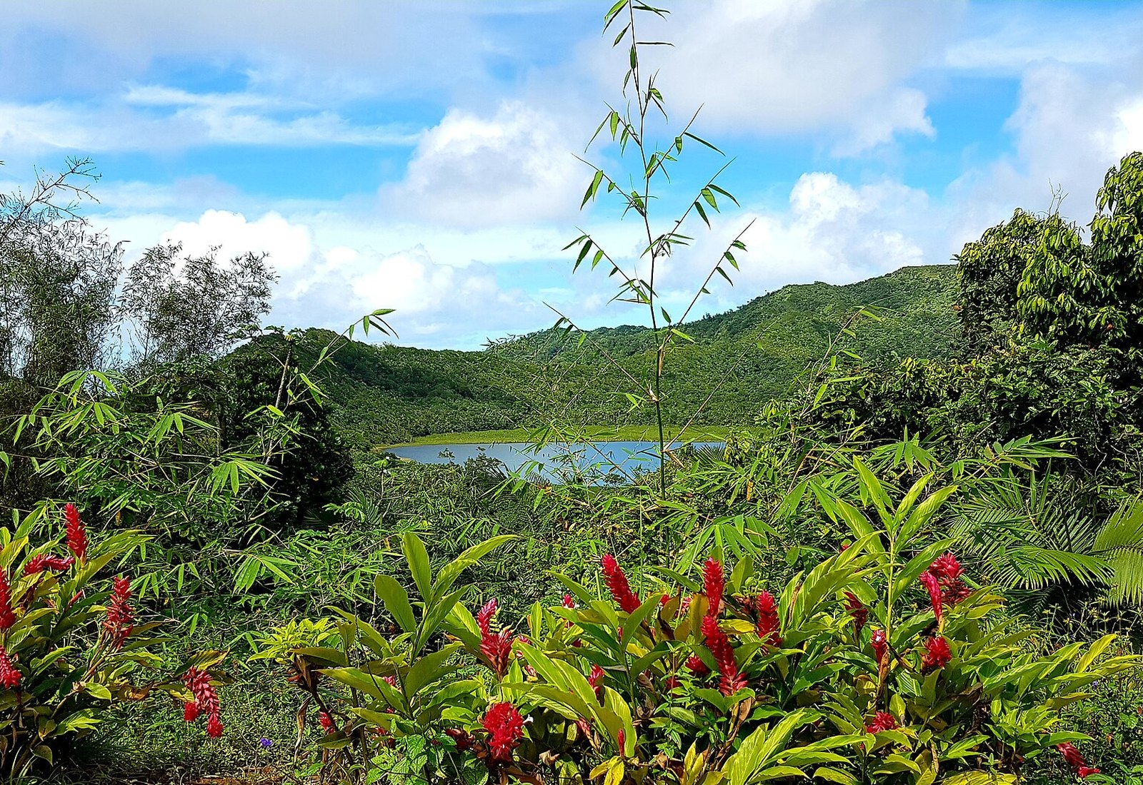 Grand Etang crater lake ringed by rainforest in Grenada's central mountains